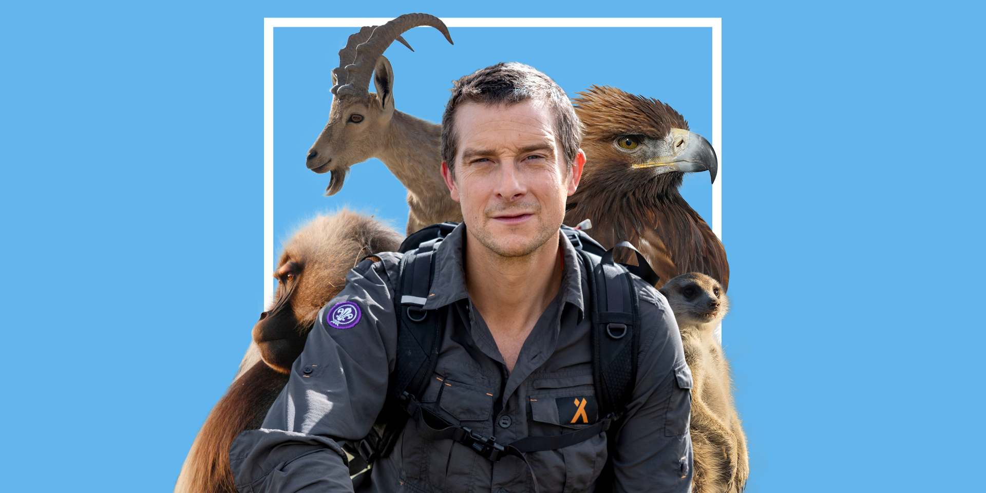 Bear Grylls Talks 'Hostile Planet," His New National Geographic Show ...