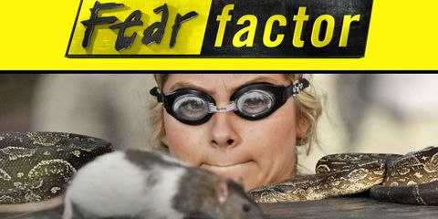 Skin, Vertebrate, Pest, Iris, Rodent, Snout, Mouse, Rat, Muroidea, Muridae, 