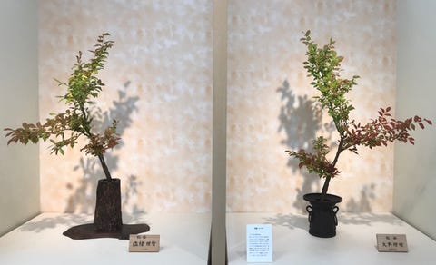 美と技を披露 過去のいけばな展から作品をご紹介 美と技を披露 過去のいけばな展から作品をご紹介