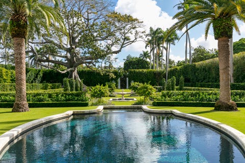 The Dos and Don’ts of Gardening, According to Fernando Wong and Tim Johnson
