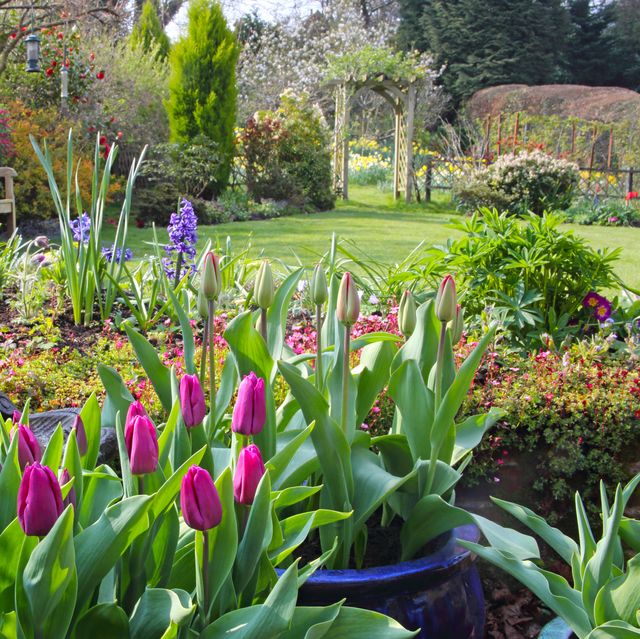 7 quick afternoon jobs to prepare your garden for spring