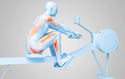 The Right Way to Do Rowing Sprints for a Faster Time
