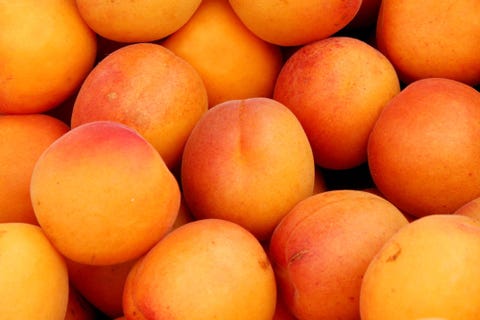 apricots