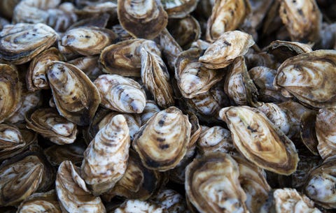 How Long Does Food Poisoning Take To Occur How Long Does Food Poisoning Take To Occur