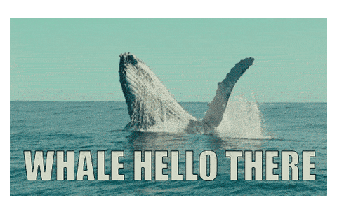 Topic US landwhales flooding foreign dating sites