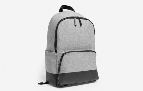 backpacks similar to everlane