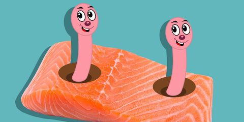 Salmon and tapeworms