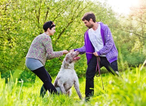 couple arguing with dog between them