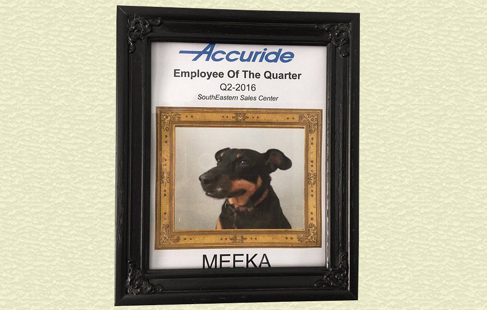 employee of the month frame rome fontanacountryinn com employee of the month picture frame