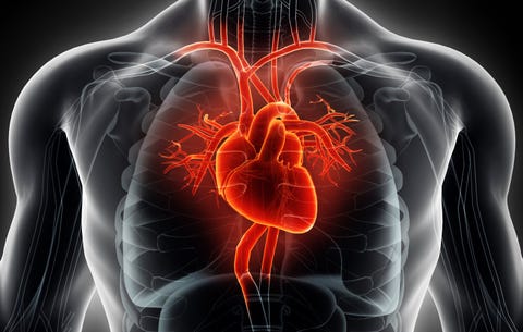 How To Use Heart Rate Training In Your Workouts Why To