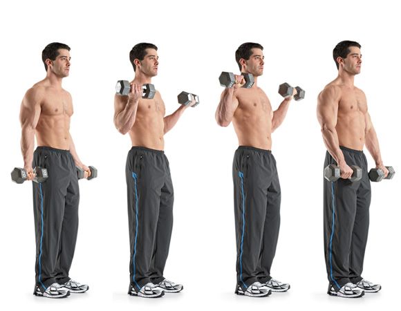 Gym Workout Chart For Men Biceps