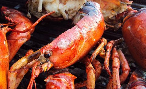 grilled-lobster.jpg