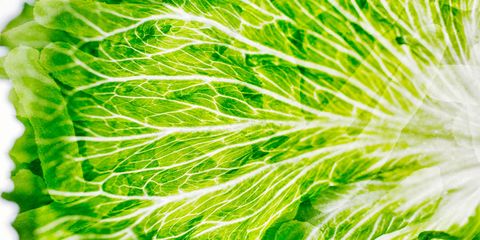 e-coli and lettuce