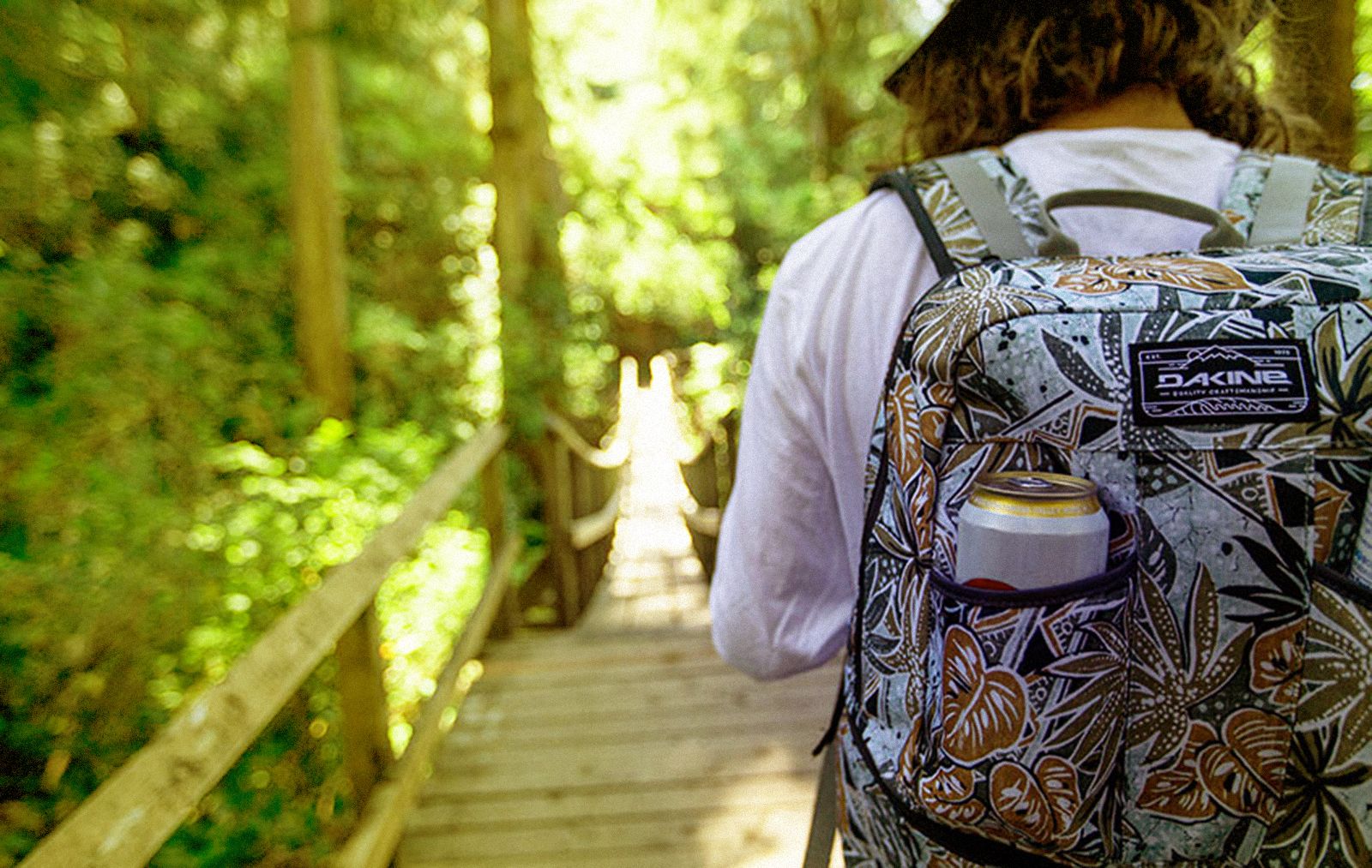 burton snake mountain backpack