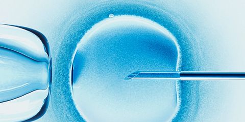 scientists successfully edit embryo dna