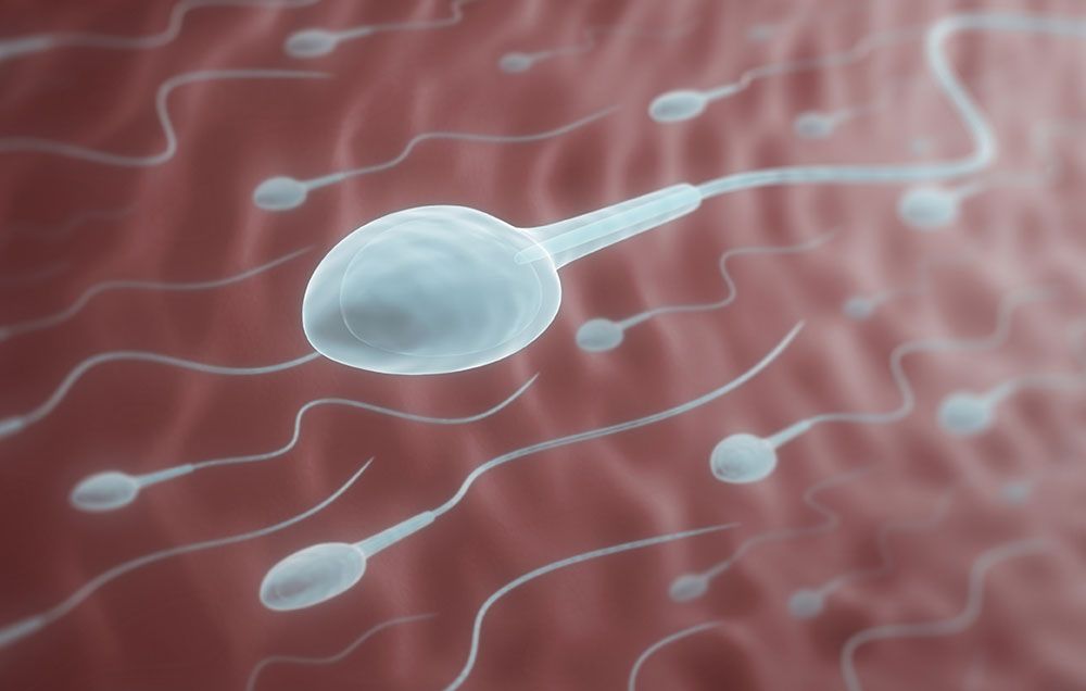 Sperm survival outside the body