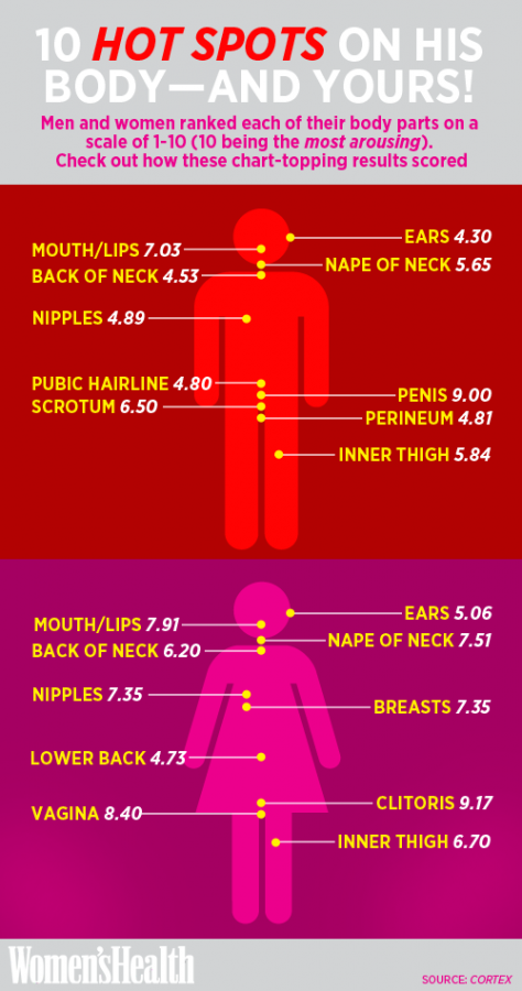 Erogenous Zones Chart Men