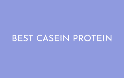 Best Casein Protein