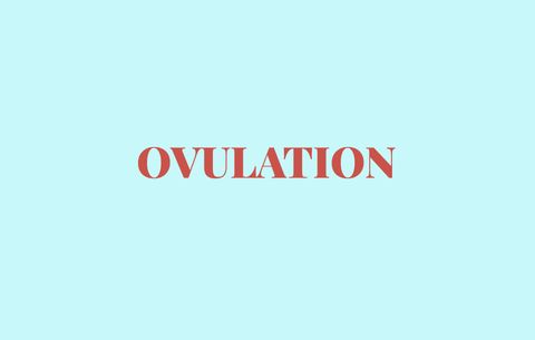 ovulația