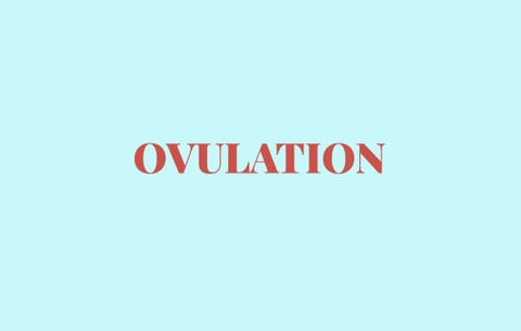 Ovulation