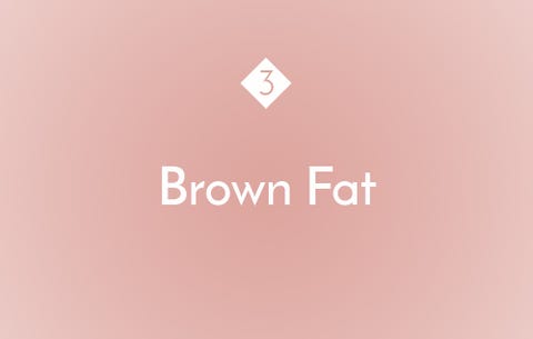 Brown Fat