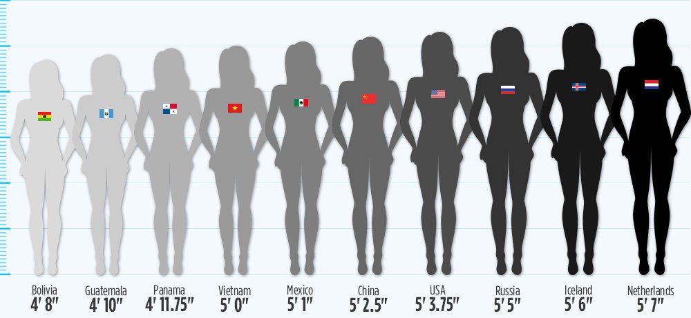 Average Human Height Chart