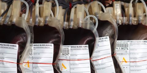 bags of blood