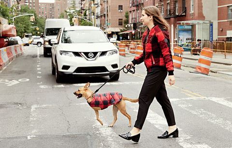 Ridiculously cute and comfy clothes for you and your dog
