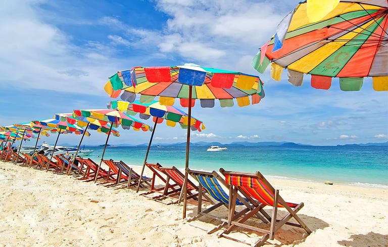 The Vacation Guide of Your Dreams cover image