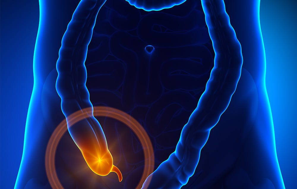 9 Things You Need to Know About Your Appendix | Women's Health