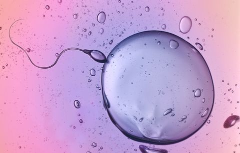 ​5 Things Every Woman Needs To Know About Fertility