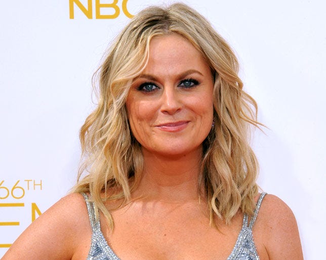 Amy Poehler Opens Up About Her Divorce From Will Arnett Help us build our profile of will arnett! amy poehler opens up about her divorce