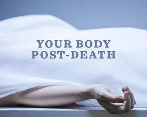 Can from consuming themselves to death you quit someone Can from consuming themselves to death you quit someone
