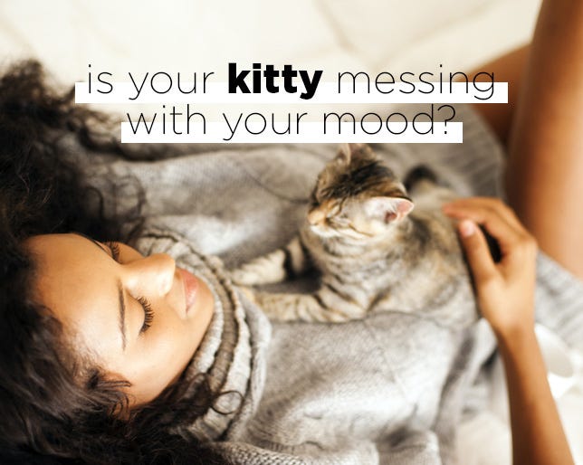 The Scary Way Your Cat Could Be Changing Your Personality