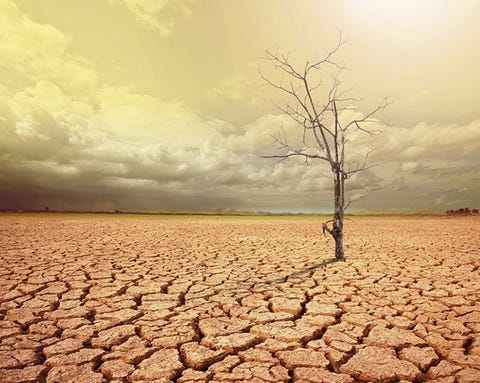 5 Reasons Your Vagina Is Going Dry 5 Reasons Your Vagina Is Going Dry