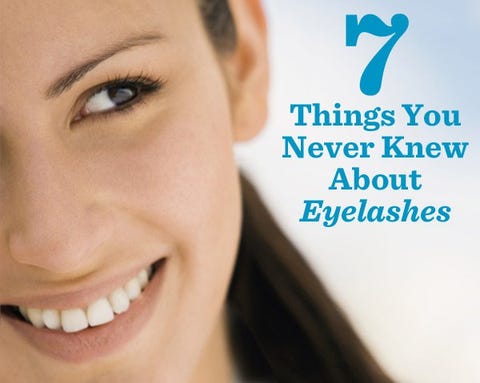 7 Things You Never Knew About Eyelashes