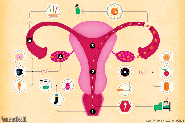 Your Guide To Your Lady Parts