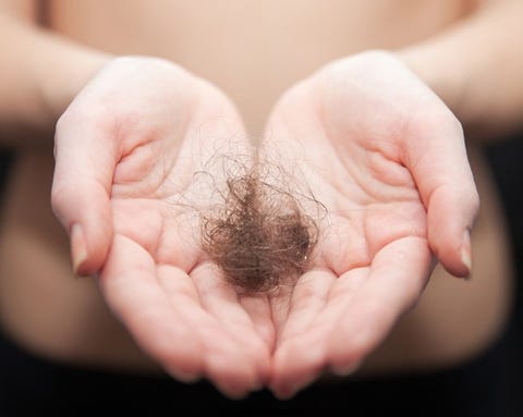 How Much Everyday Hair Loss Is Normal