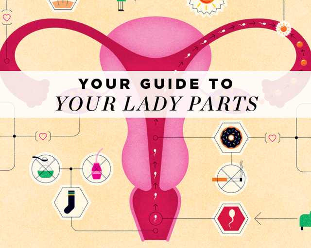 Your Guide To Your Lady Parts