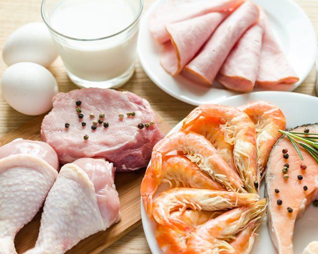high protein diets and metabolism