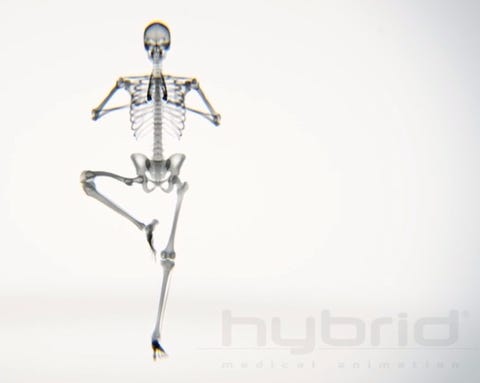 Your Body On Yoga An X Ray Look At The Bones Mid Downward Dog