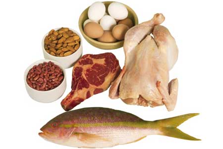 Eat More Protein Eat More Protein