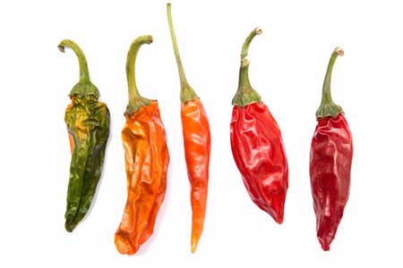 Eat the Heat Eat the Heat