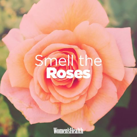 Smell the Roses