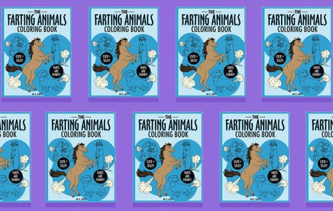 Farting Animals Coloring Book White Elephant Gift Idea