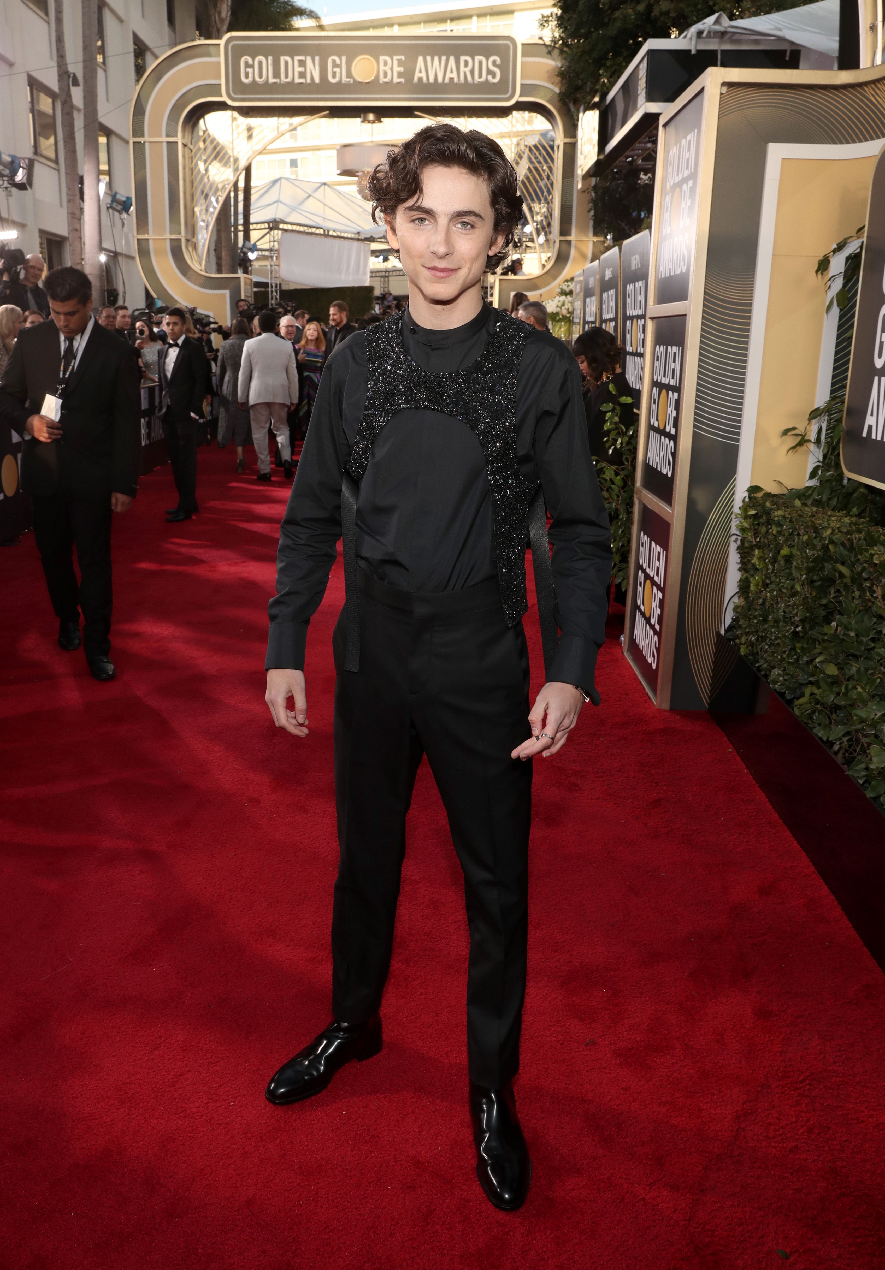 timothee chalamet dress