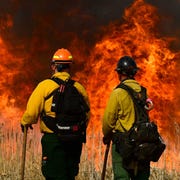 wildfire