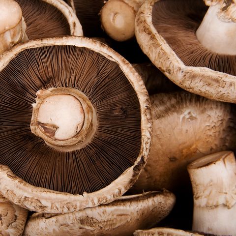 portobello mushroom closeup