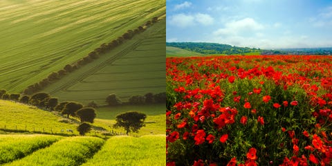 South Downs, Sussex, England