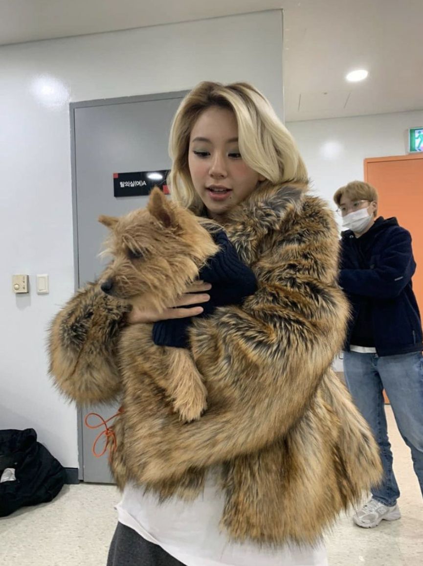 TWICE チェヨン 財布